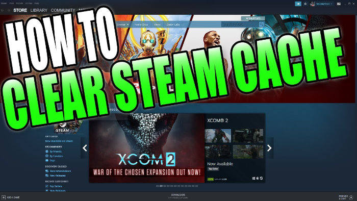 clear steam workshop downloaded files
