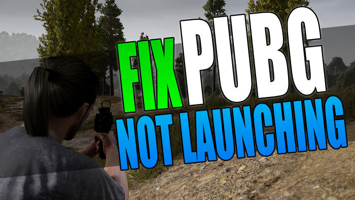 Fix PUBG not launching.