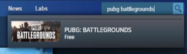 Steam search box with pubg battlegrounds text typed in.