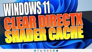 Windows 11 clear DirectX Shader Cache