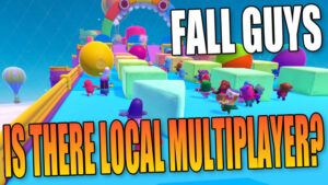 Fall Guys is there local mulitplayer