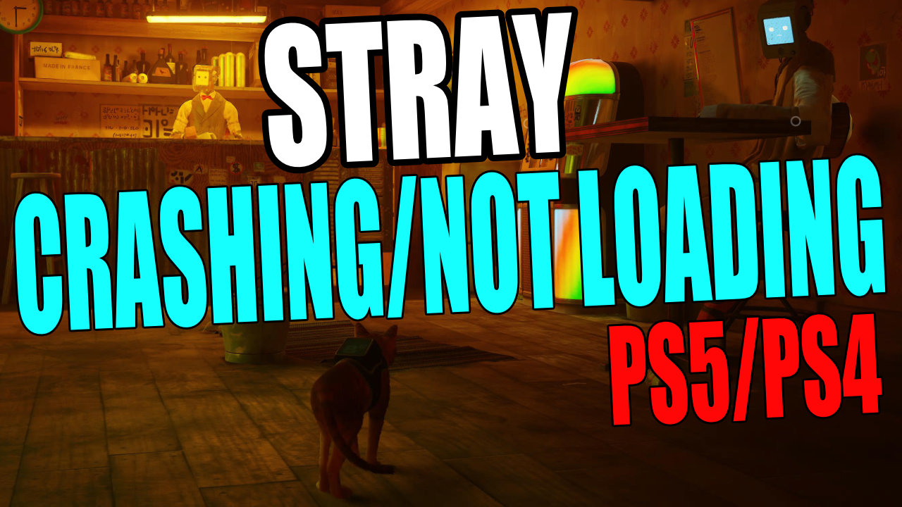 Stray crashing not loading PS5/PS4