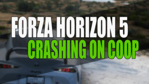 Forza Horizon 5 crashing on coop.