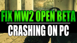 Fix MW2 Open Beta crashing on PC.