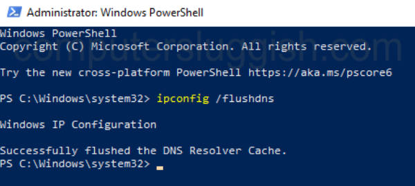 Windows PowerShell successfully flushed the DNS resolver cache message.