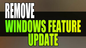 Remove Windows feature update.