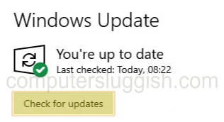 Windows 10 settings showing check for updates button.