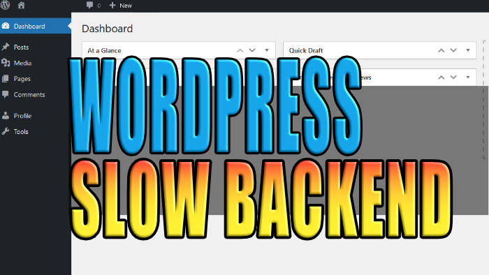 Wordpress slow backend.