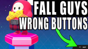 Fall Guys wrong buttons.