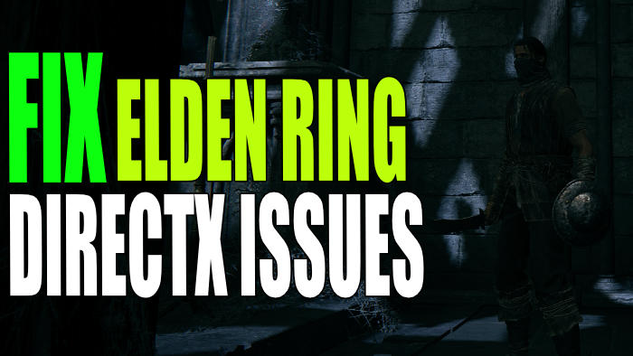 Fix Elden Ring directx issues