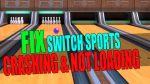Fix Switch Sports crashing and not loading