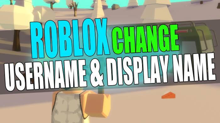 Roblox change username & display name.